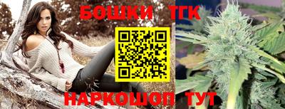 тгк Партизанск