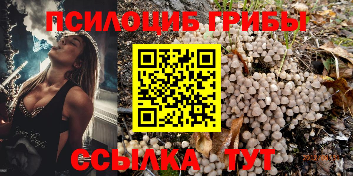Ростов Великий  Галлюциногенные грибы мухоморы  купить  цена  Вход с VPN 