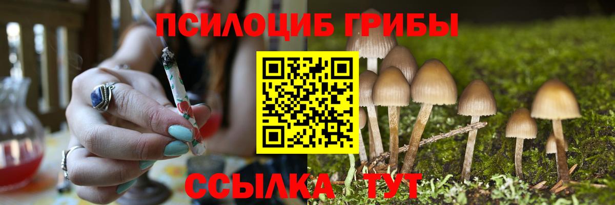 Галлюциногенные грибы прущие грибы Ростов Великий